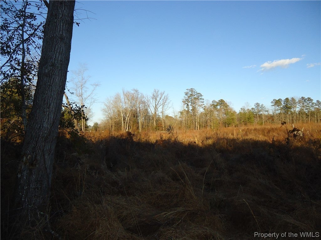 6.9-ac Colonial Trail West Dendron, VA 23839 - Photo 11 of 23 Gallery Image 11