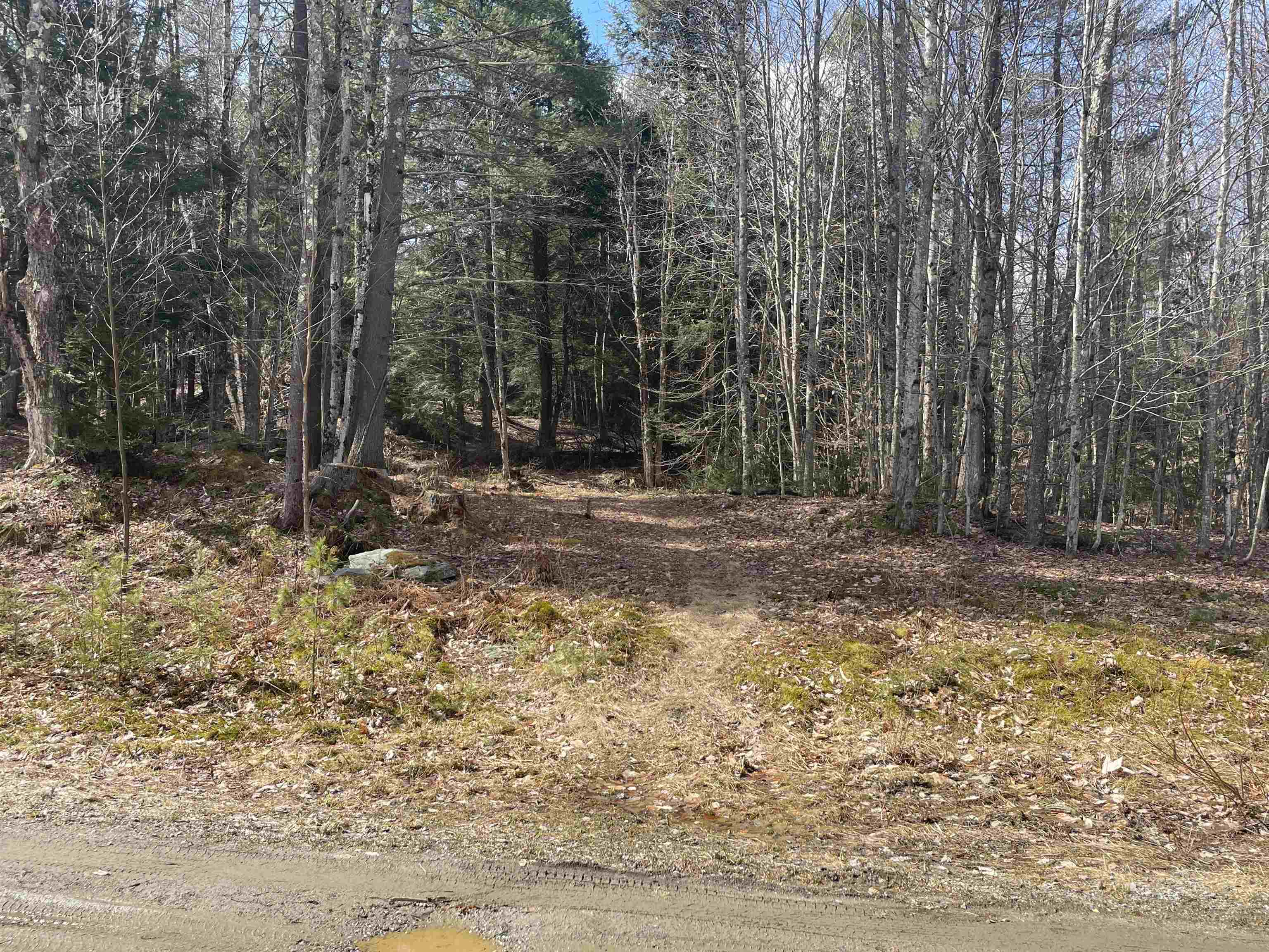 0 Hastings Road, Unit 5 Waitsfield, VT 05673 - Photo 2 of 10