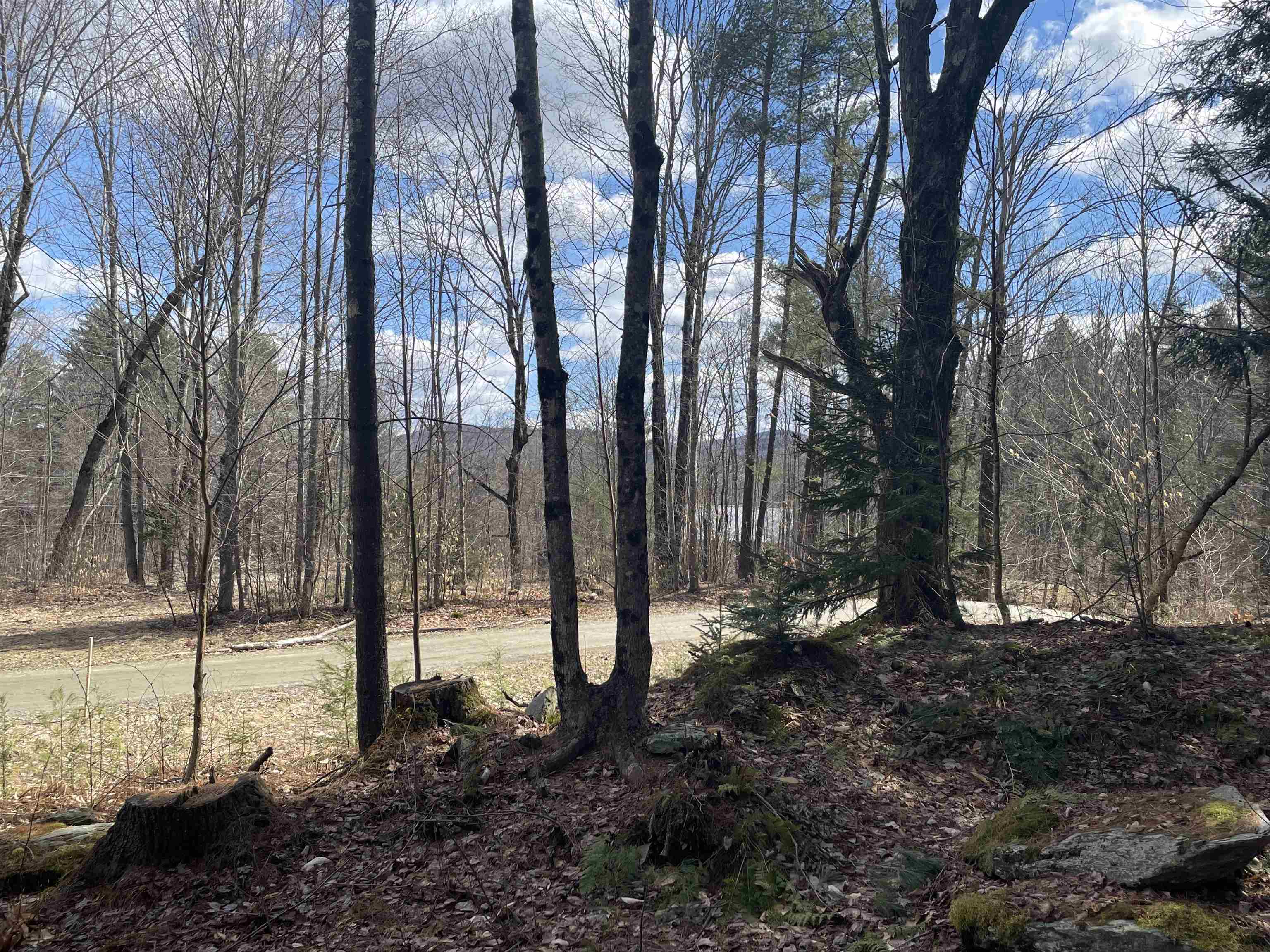 0 Hastings Road, Unit 5 Waitsfield, VT 05673 - Photo 3 of 10
