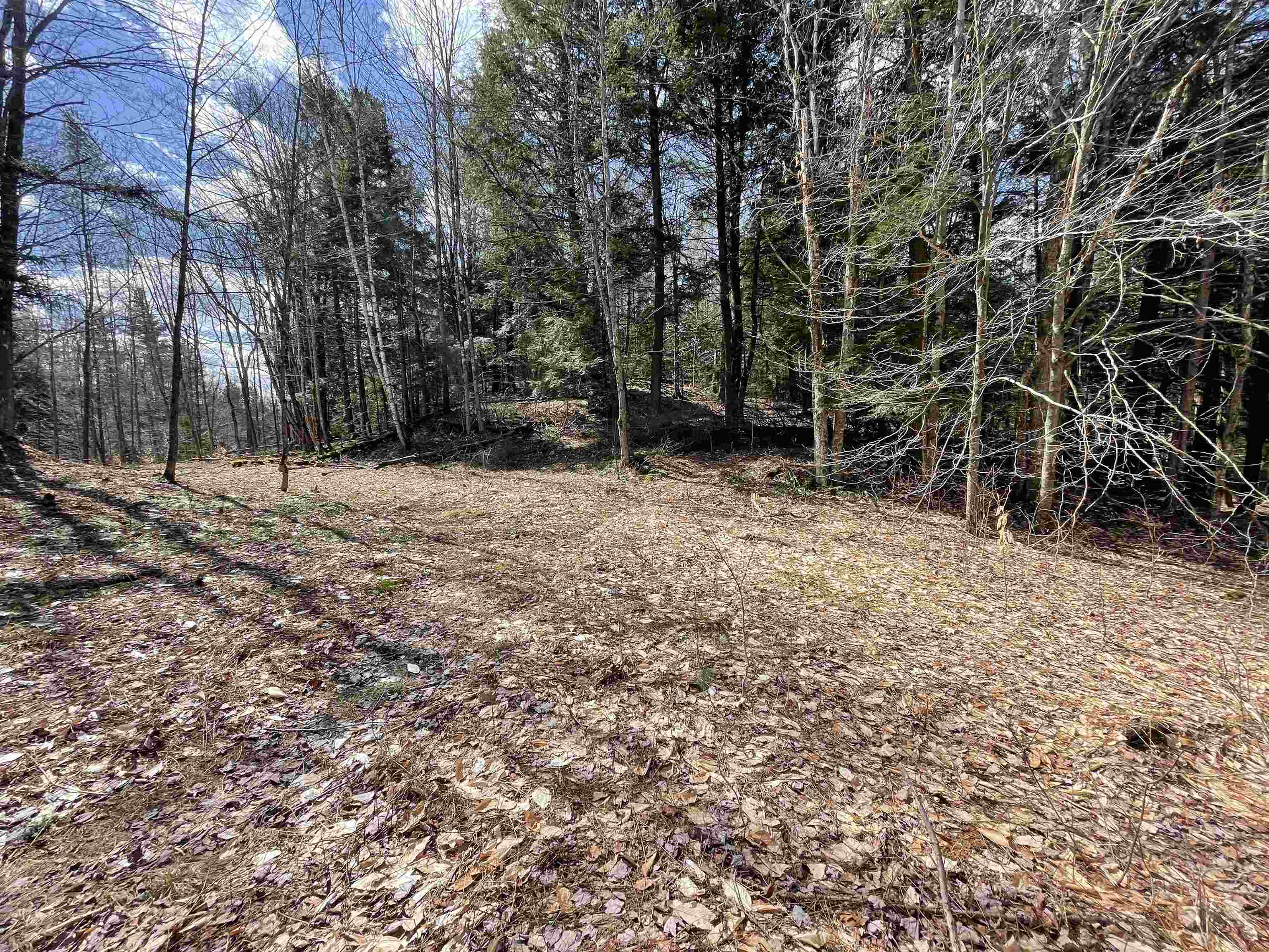 0 Hastings Road, Unit 5 Waitsfield, VT 05673 - Photo 4 of 10