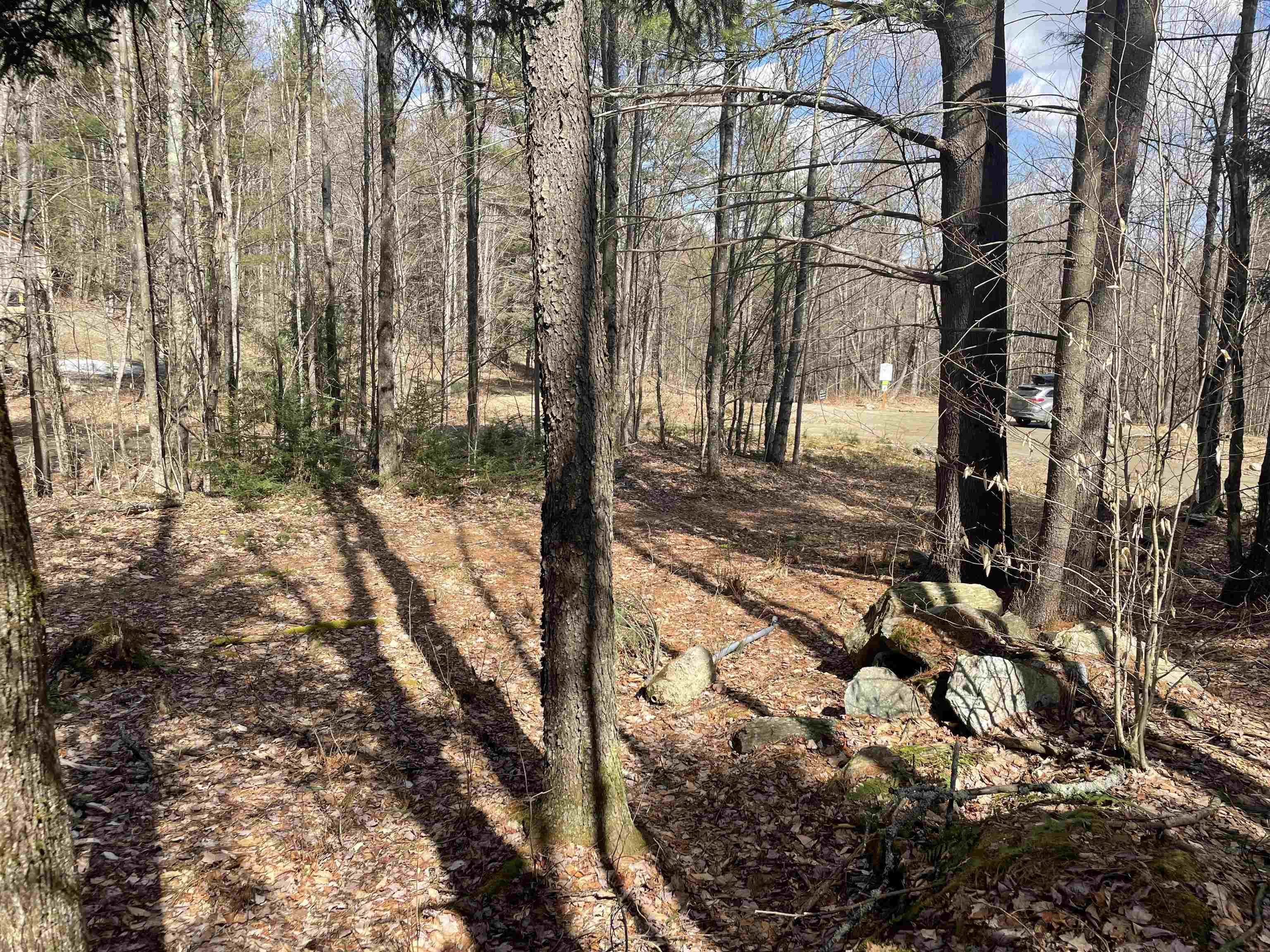 0 Hastings Road, Unit 5 Waitsfield, VT 05673 - Photo 5 of 10