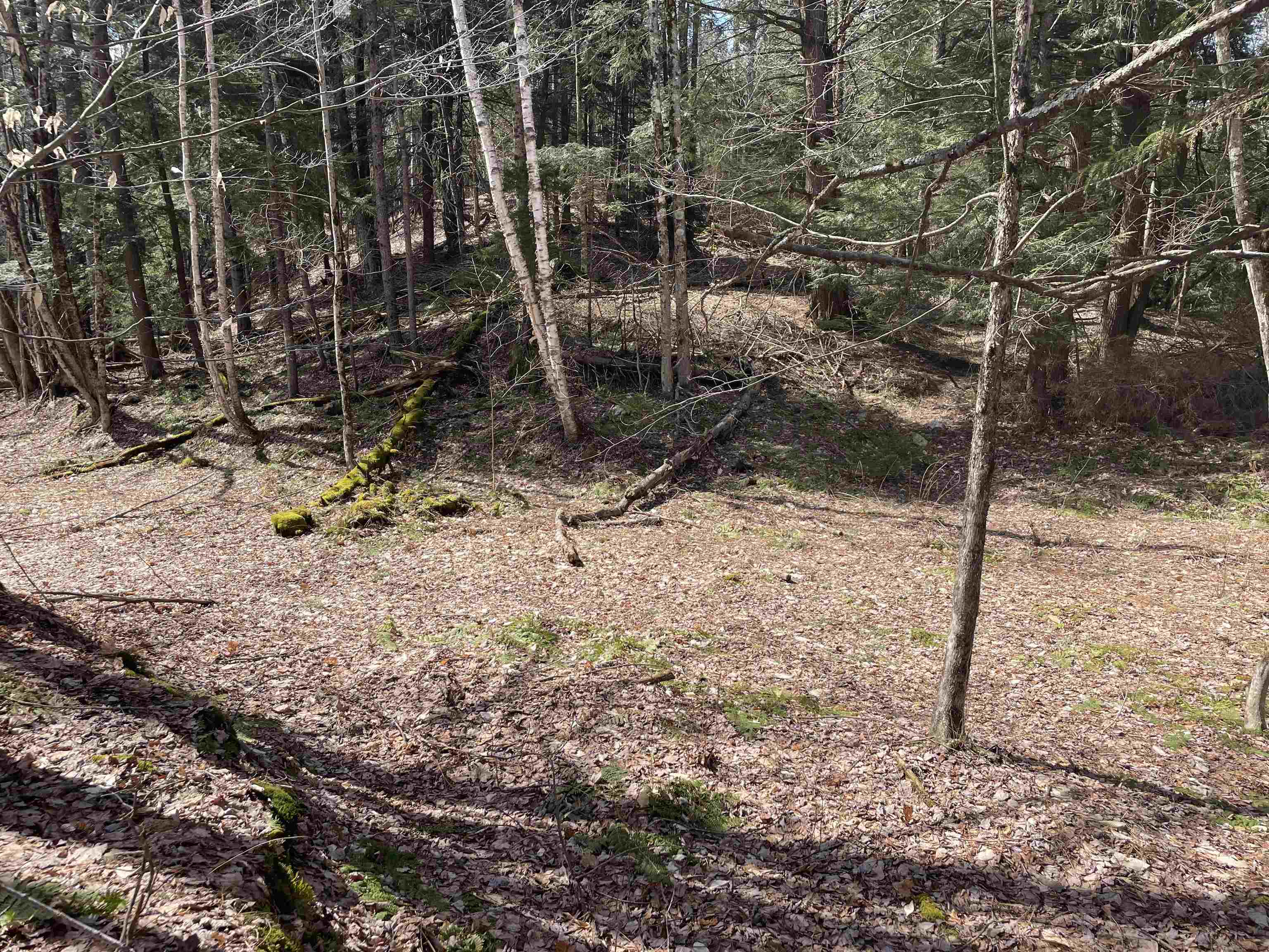 0 Hastings Road, Unit 5 Waitsfield, VT 05673 - Photo 6 of 10