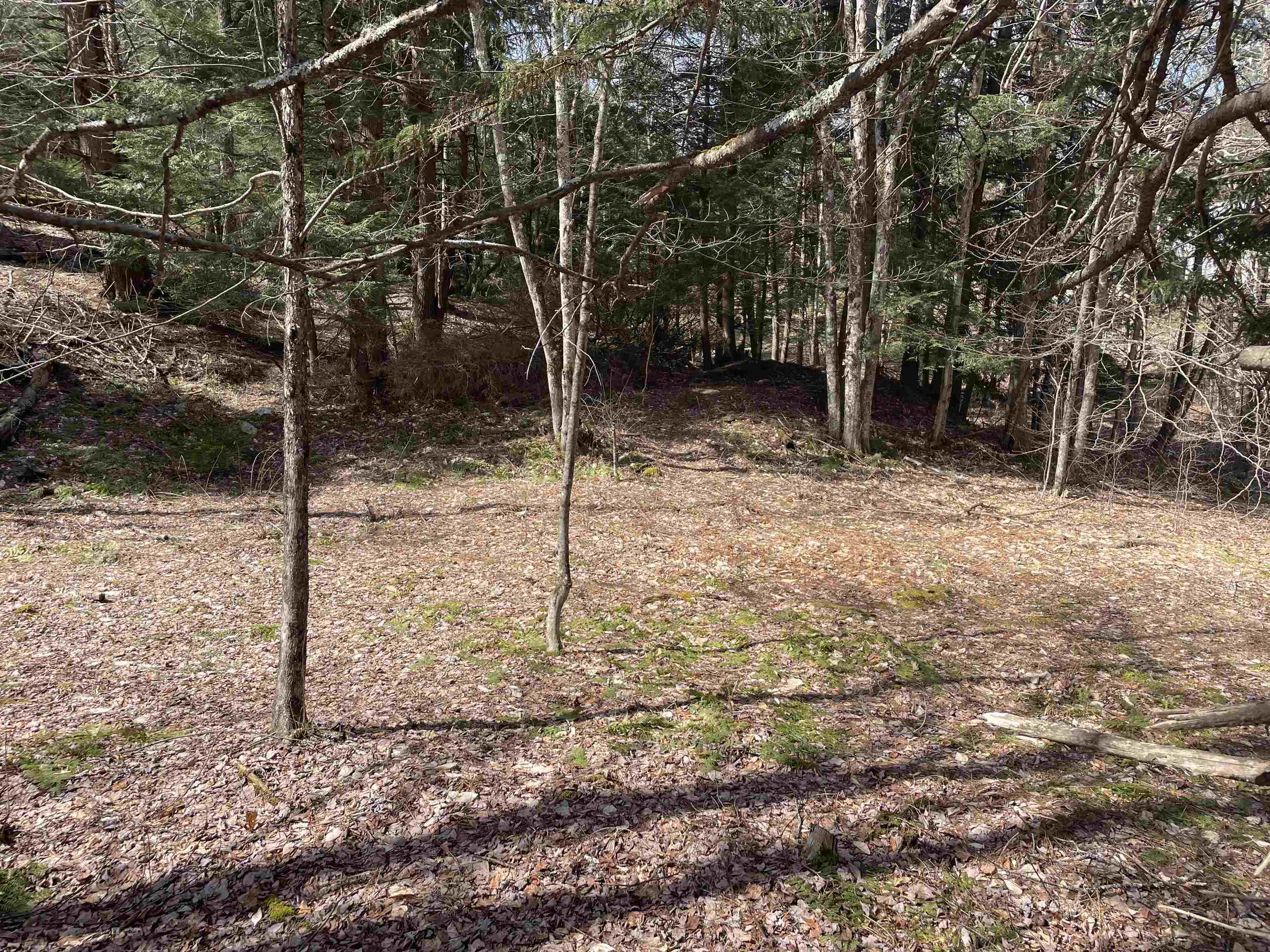 0 Hastings Road, Unit 5 Waitsfield, VT 05673 - Photo 7 of 10