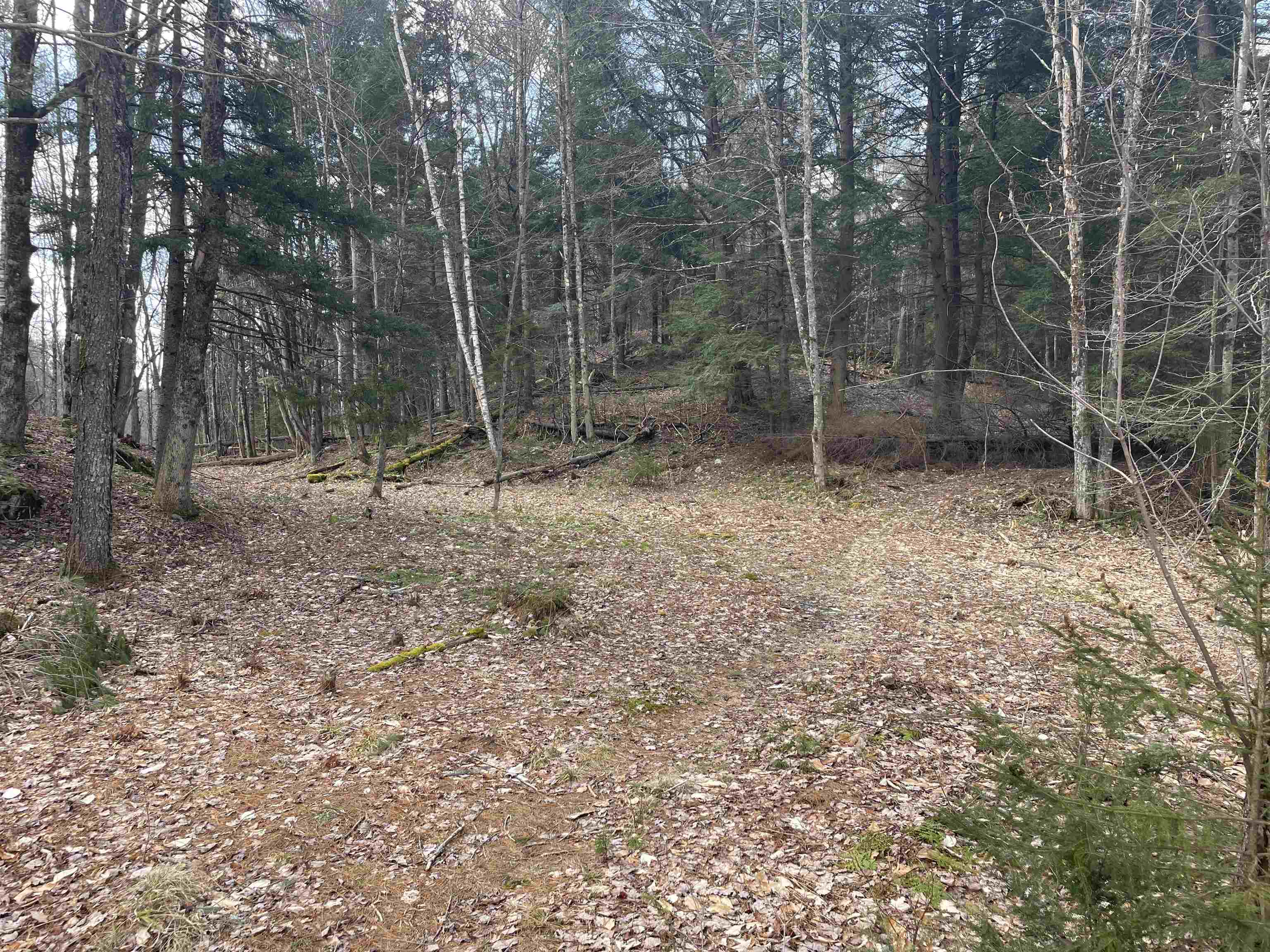 0 Hastings Road, Unit 5 Waitsfield, VT 05673 - Photo 8 of 10