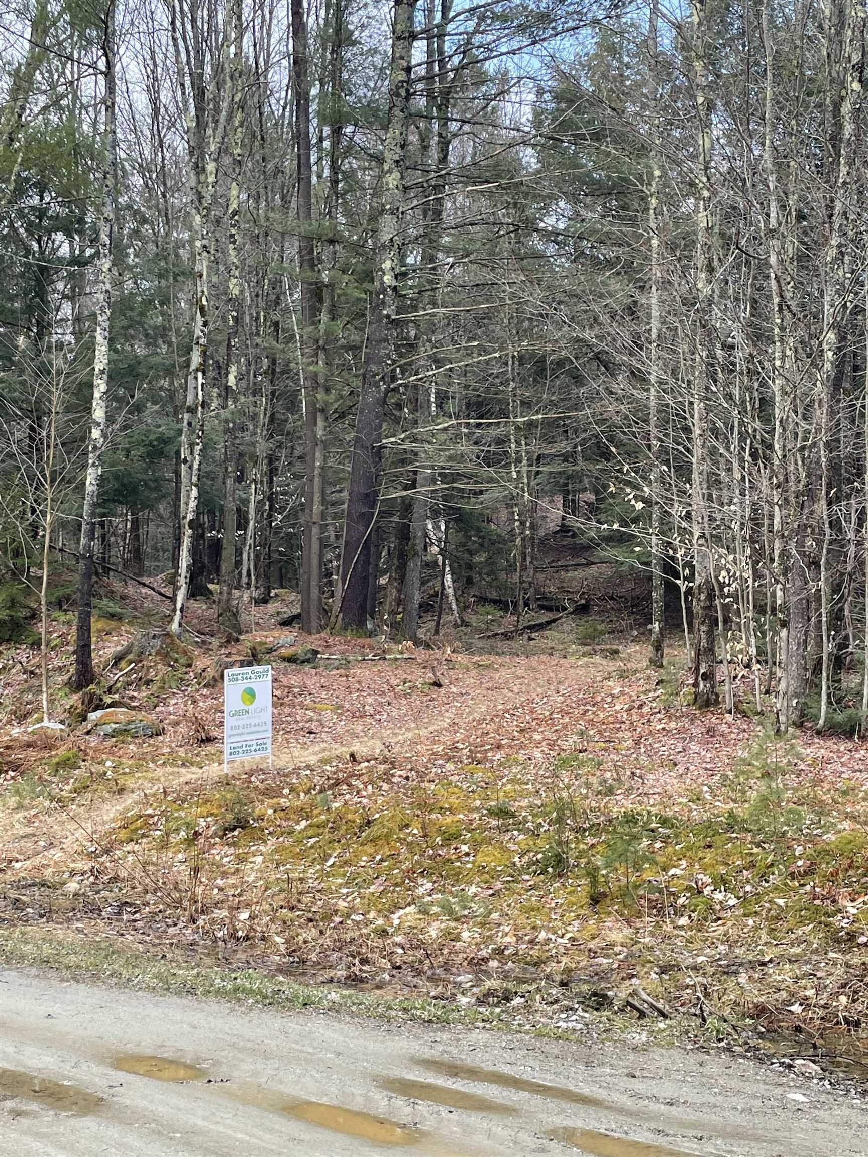0 Hastings Road, Unit 5 Waitsfield, VT 05673 - Photo 10 of 10