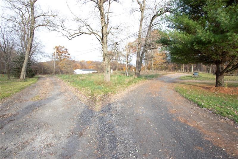 695 Shaffer Road Hookstown, PA 15050 - Photo 18 of 26 a view of dirt yard with a large trees