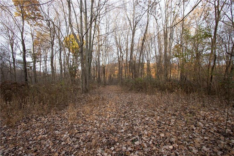 695 Shaffer Road Hookstown, PA 15050 - Photo 4 of 26 a view of backyard with green space