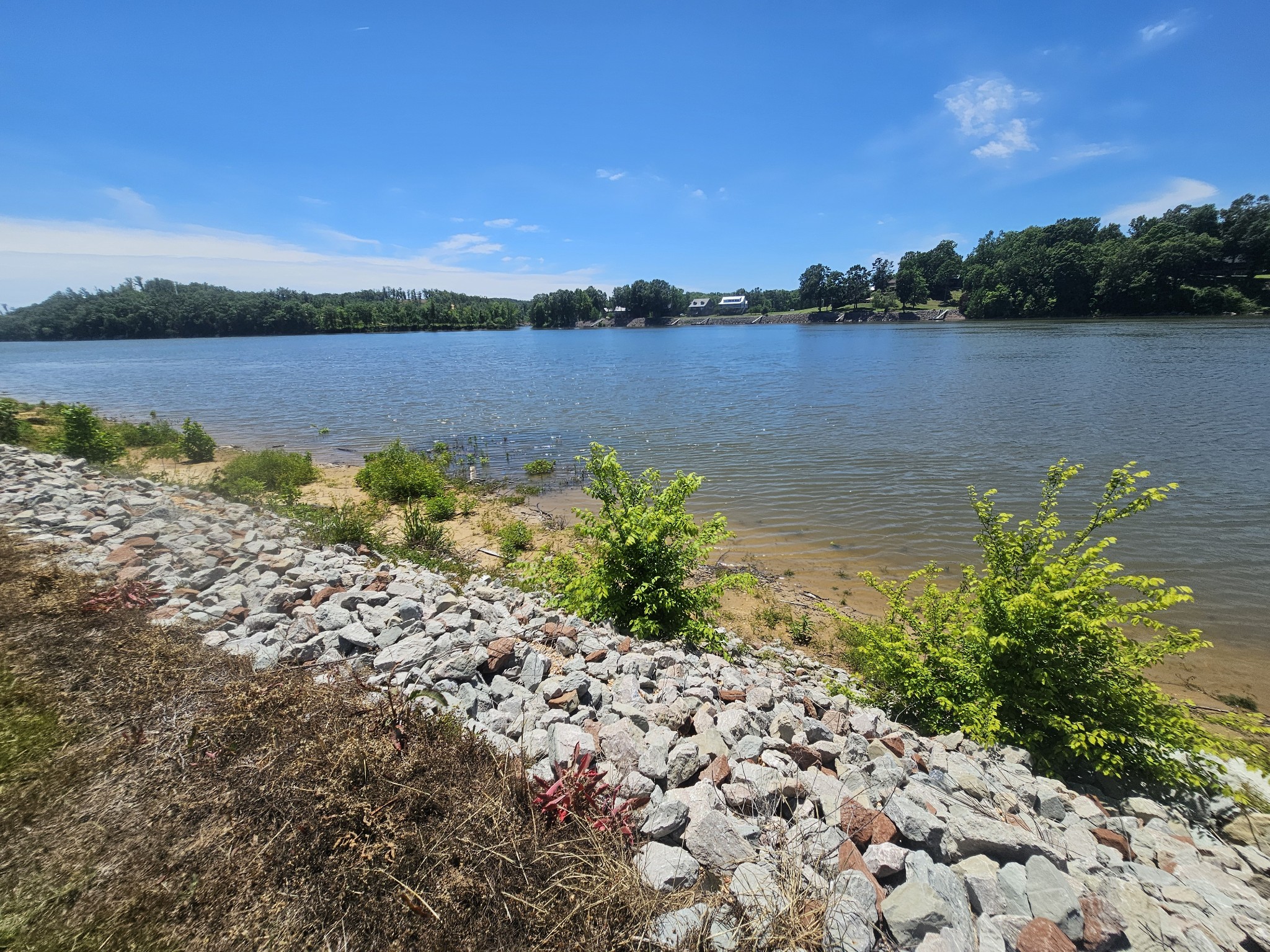 1685 Hardin Bottom River Road Clifton, TN 38425 - Photo 5 of 28