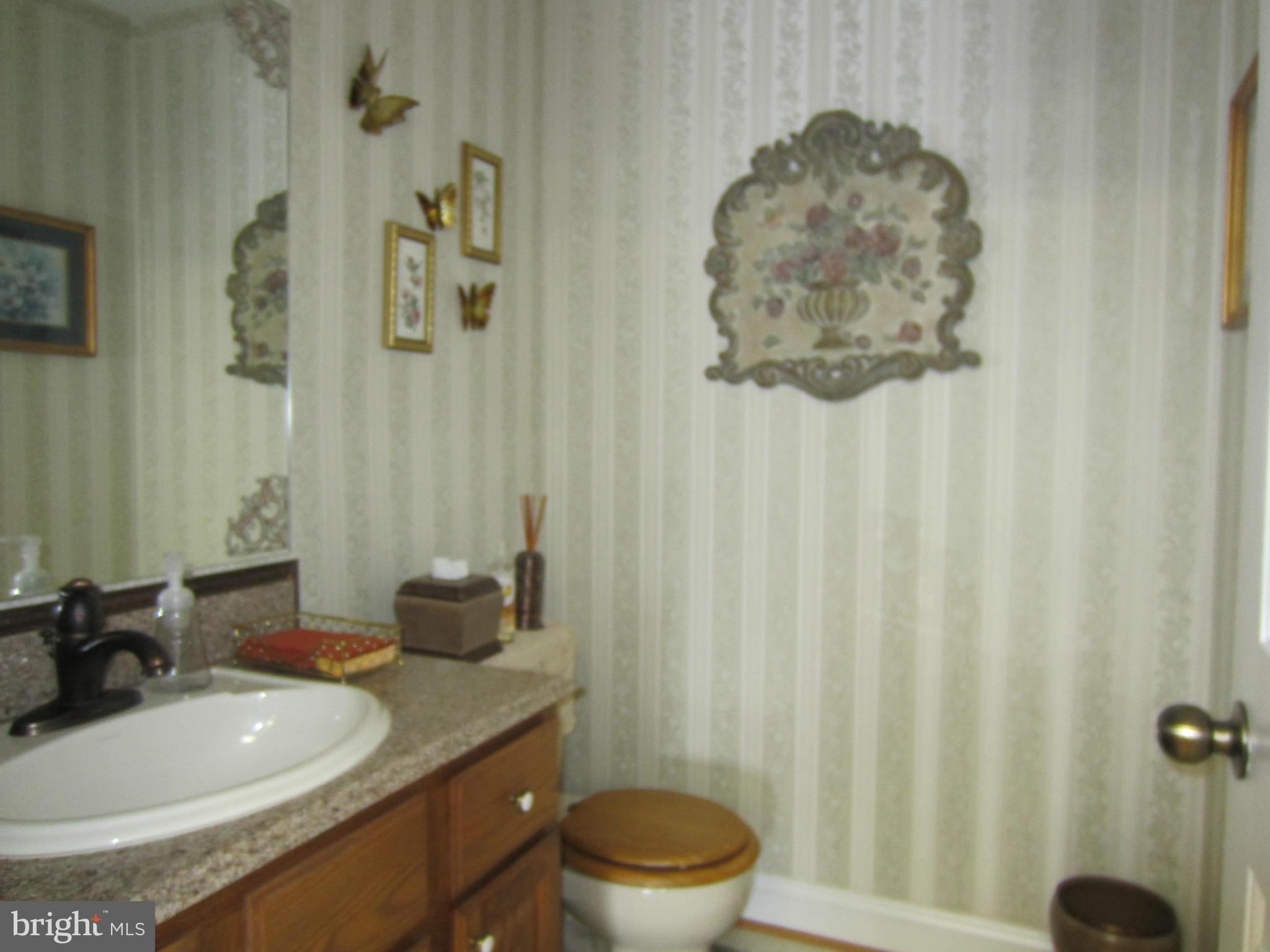 503 Old Kitchen Road White Post, VA 22663 - Photo 14 of 30 Bath