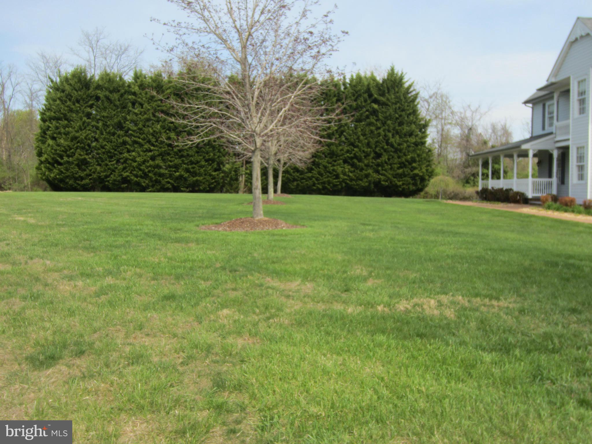 503 Old Kitchen Road White Post, VA 22663 - Photo 25 of 30 Exterior (Front)