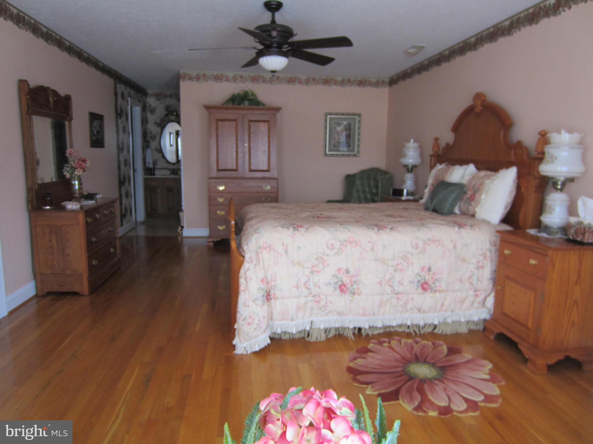 503 Old Kitchen Road White Post, VA 22663 - Photo 8 of 30 Bath (Master)