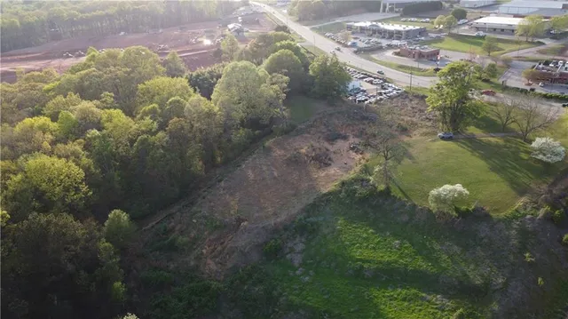 a close up of a plant in a garden