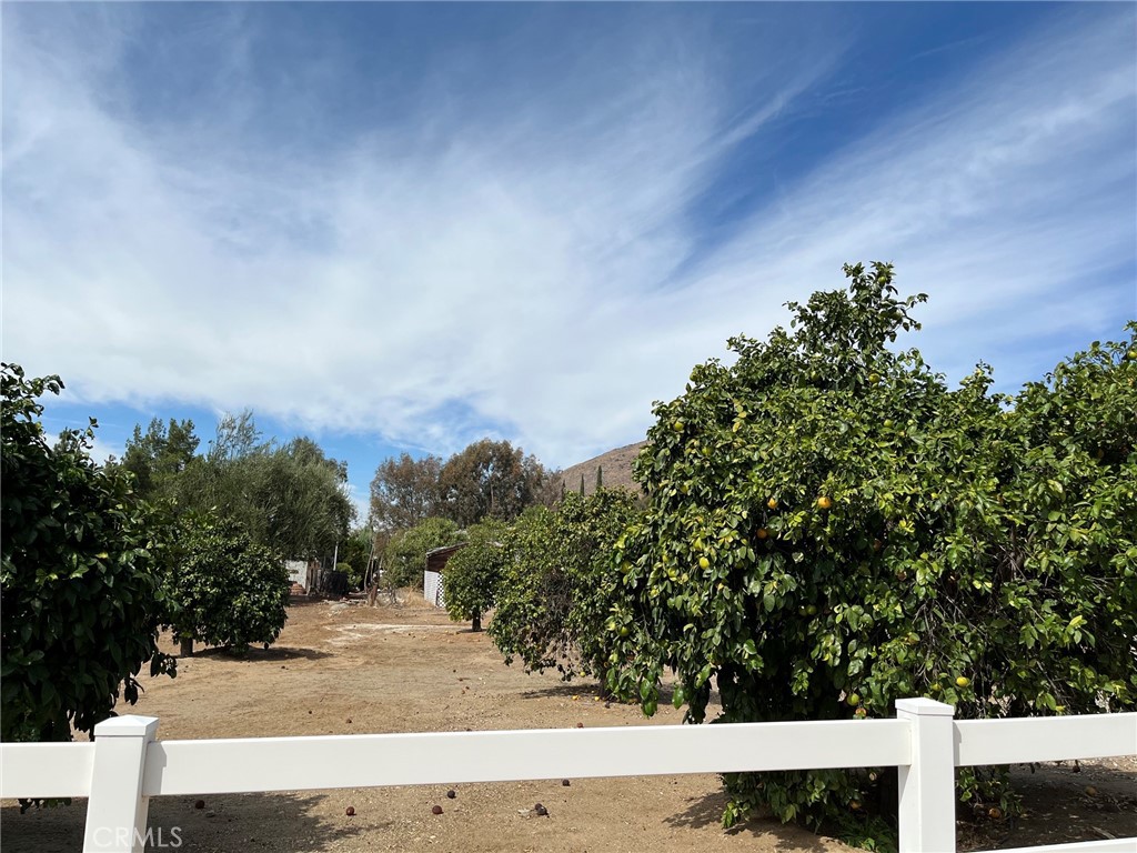 34367 Olive Grove Road Wildomar, CA 92595 - Photo 32 of 35 Gallery Image 32