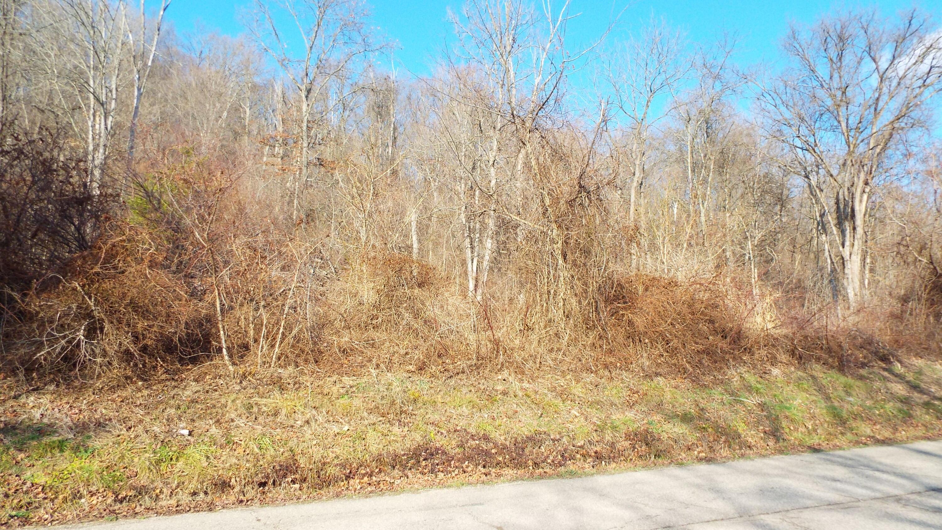 0 Bessemer Road Nelsonville, OH 45764 - Photo 7 of 9 DSCF6414
