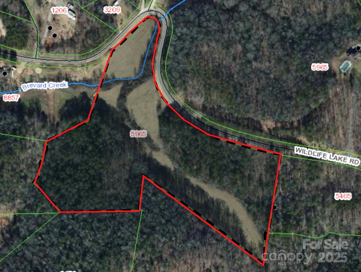 Off Wildlife Lake Road Old Fort, NC 28762 - Photo 2 of 7 a view of small yard