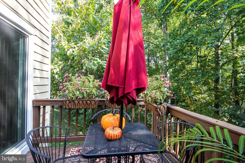 1421 Newport Spring Court Reston, VA 20194 - Photo 30 of 32 Gallery Image 30