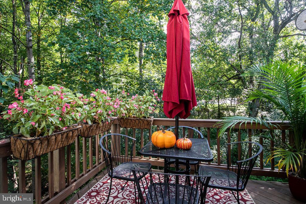 1421 Newport Spring Court Reston, VA 20194 - Photo 32 of 32 Gallery Image 32