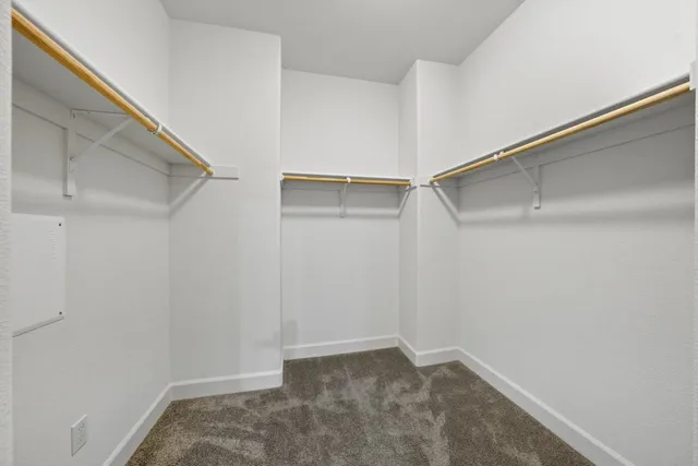 a bathroom with a shower and a sink