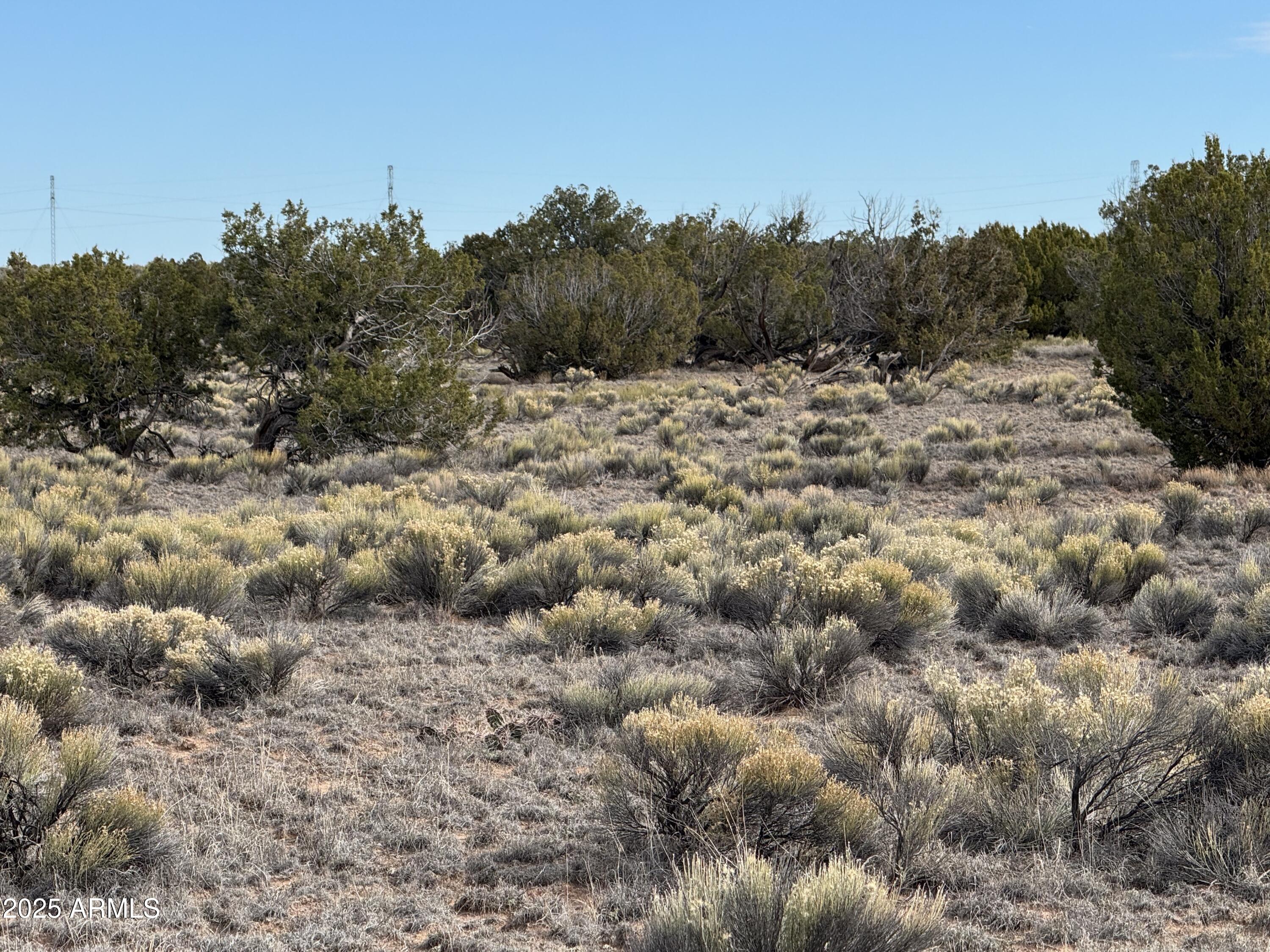 Lot 338 Sierra Highlands Ranch, Unit 338 St. Johns, AZ 85936 - Photo 3 of 11
