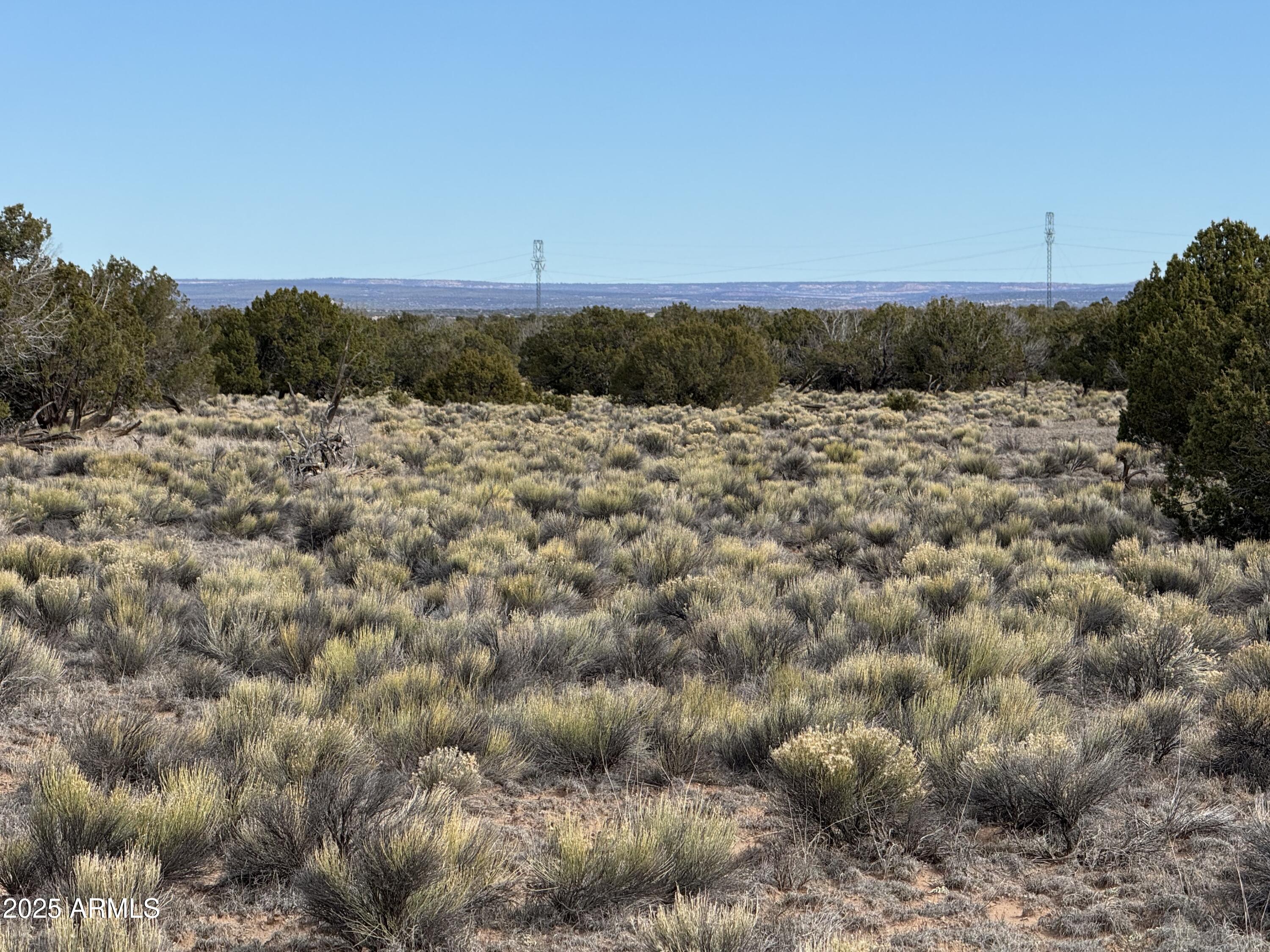Lot 338 Sierra Highlands Ranch, Unit 338 St. Johns, AZ 85936 - Photo 8 of 11 a view of a field