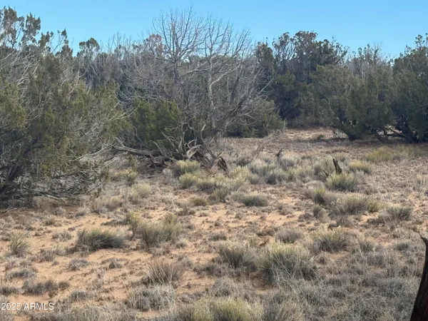 $33,900 | Lot 338 Sierra Highlands Ranch, Unit 338, St. Johns, AZ 85936