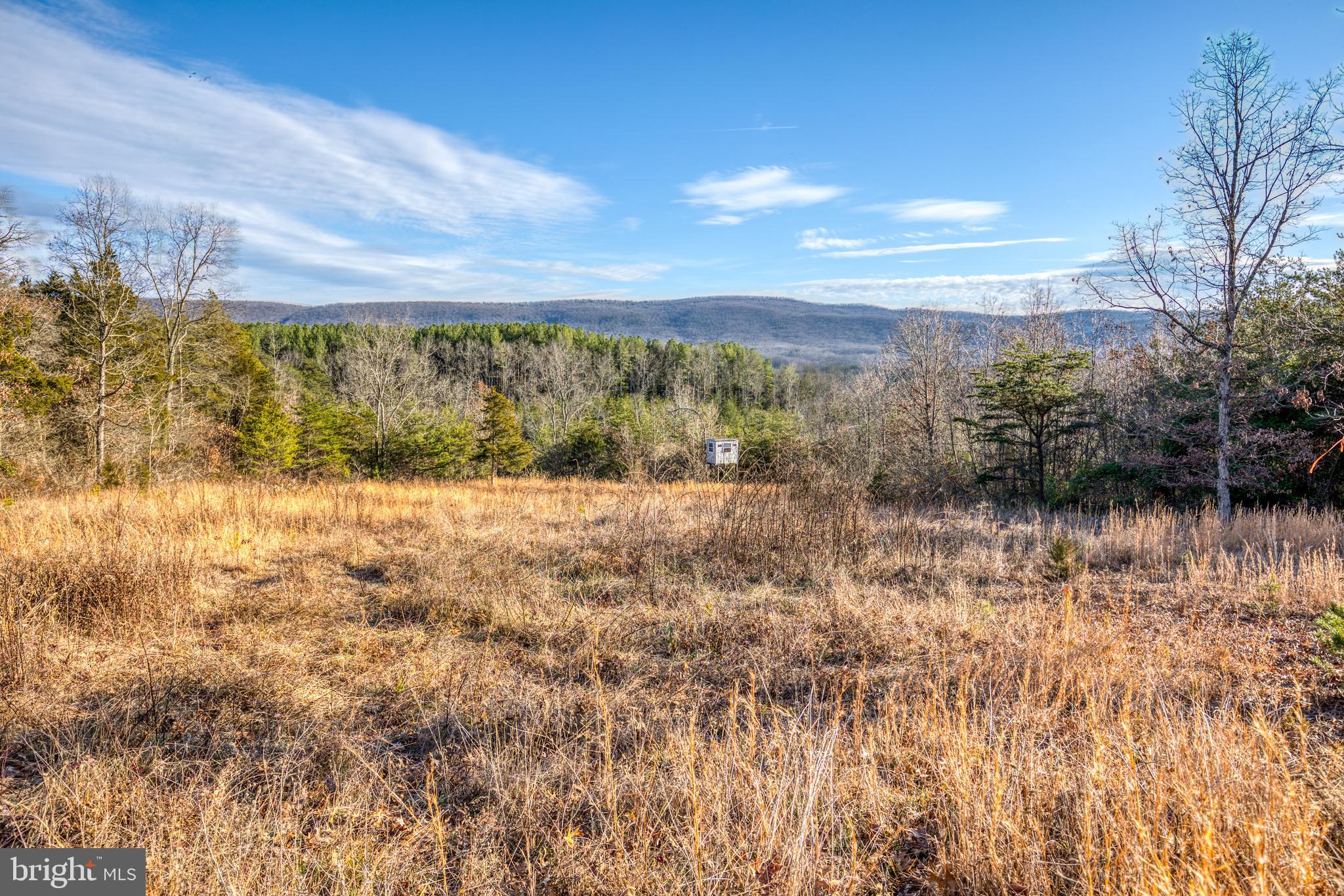 Tbd Dry Run Road Fort Valley, VA 22652 - Photo 4 of 26