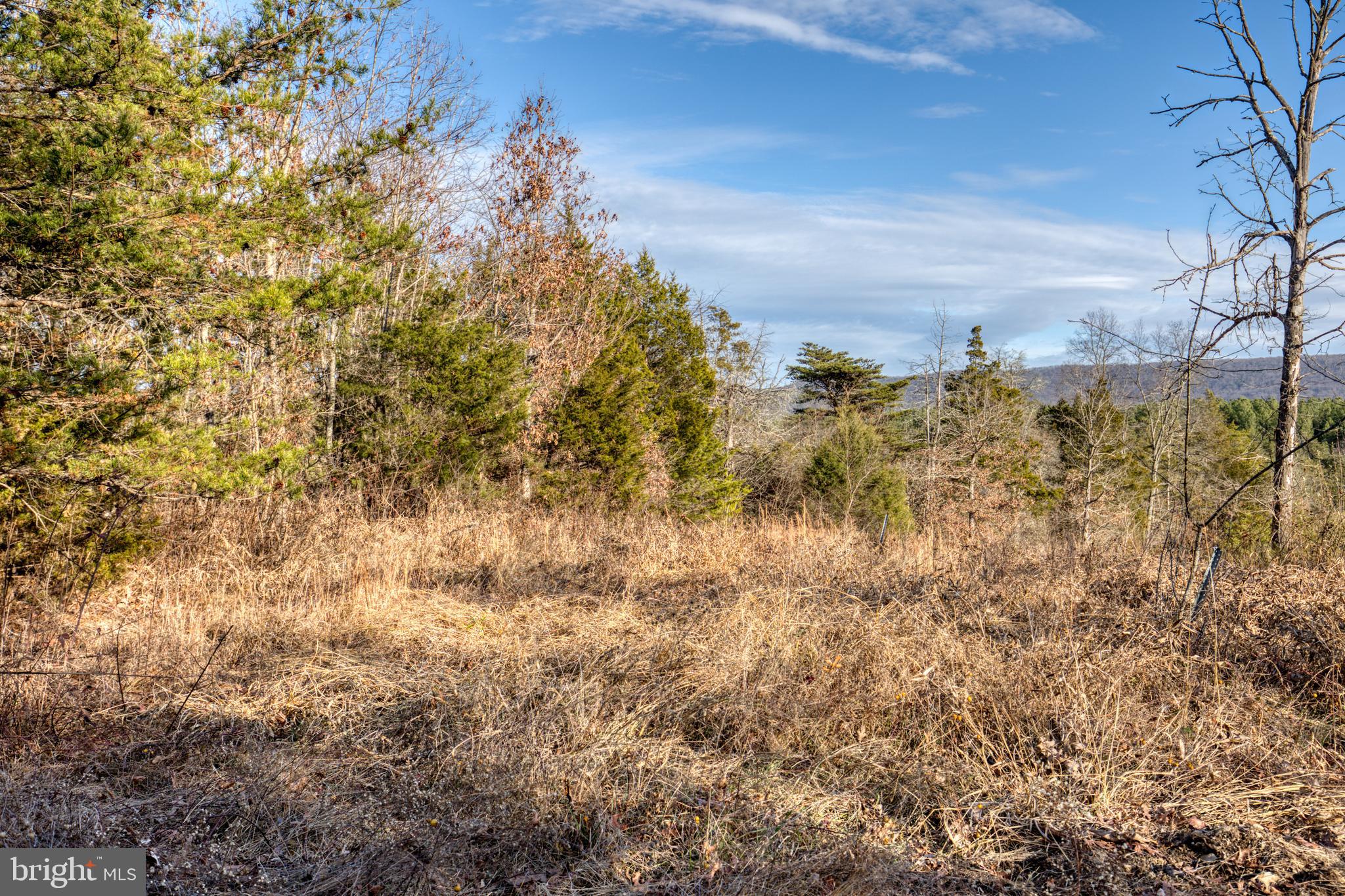 Tbd Dry Run Road Fort Valley, VA 22652 - Photo 6 of 26