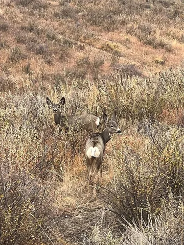 $1,250,000 | 940 South Co Road 29, Loveland, CO 80537