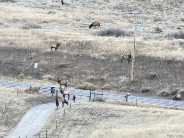 $1,250,000 | 940 South Co Road 29, Loveland, CO 80537