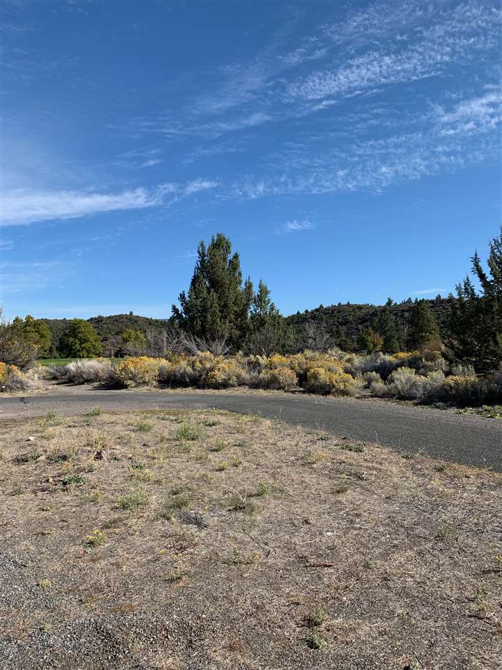 Lot 259 Casper Road Weed, CA 96094 - Photo 10 of 14 Gallery Image 10
