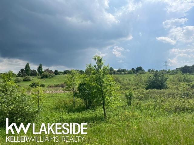 Mack Parcel F Road Leonard, MI 48367 - Photo 1 of 1