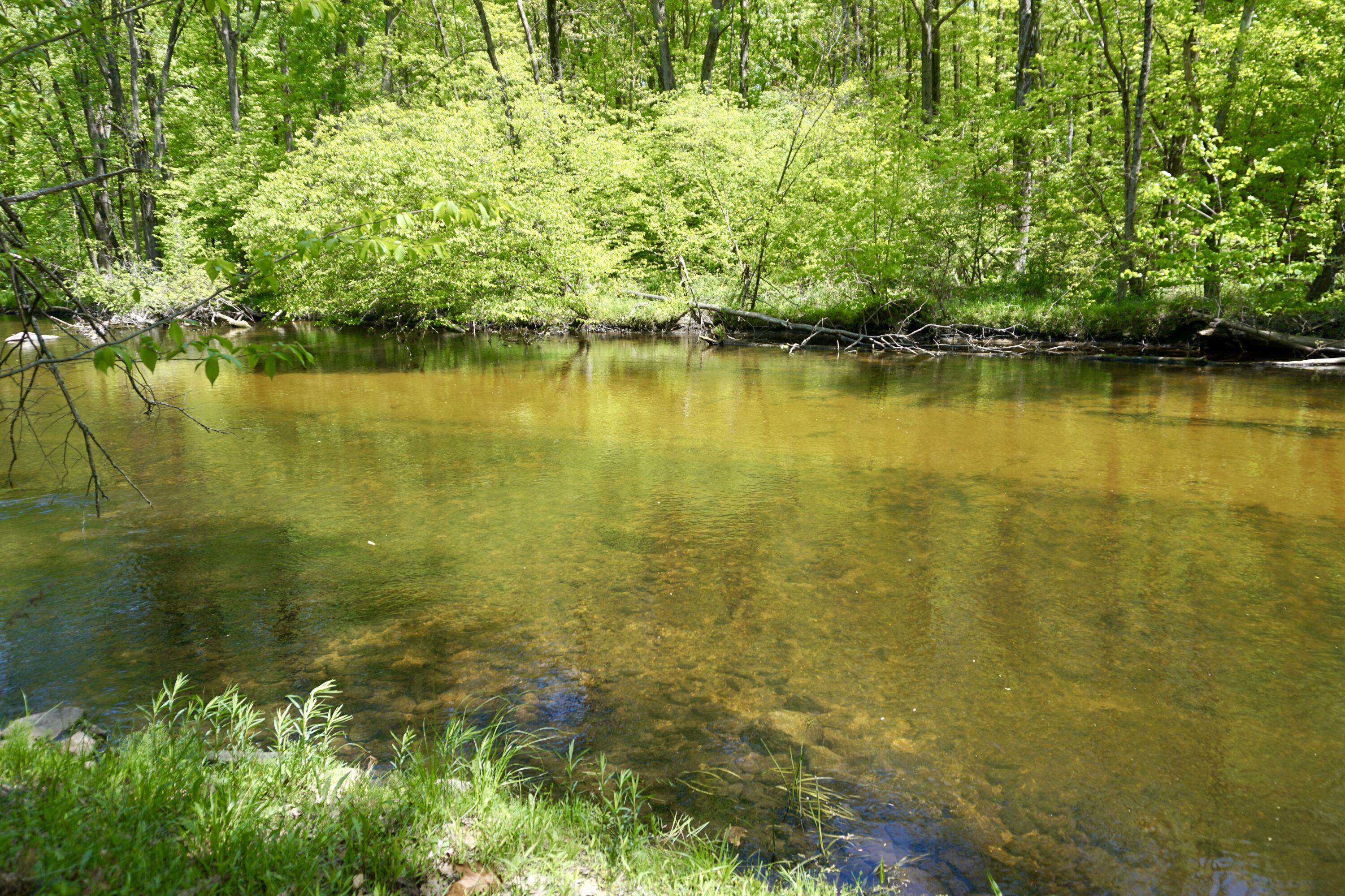 West County Line Road Gowen, MI 49326 - Photo 18 of 26 DSC01074