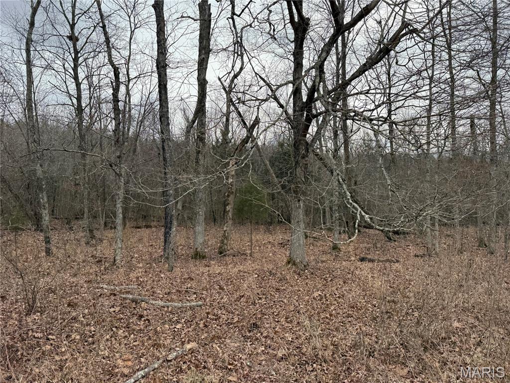 2 Madison 248 Fredericktown, MO 63645 - Photo 11 of 27