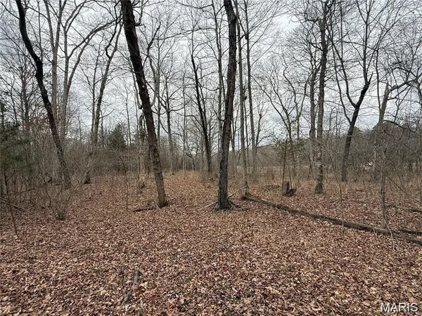 $109,900 | 2 Madison 248, Fredericktown, MO 63645
