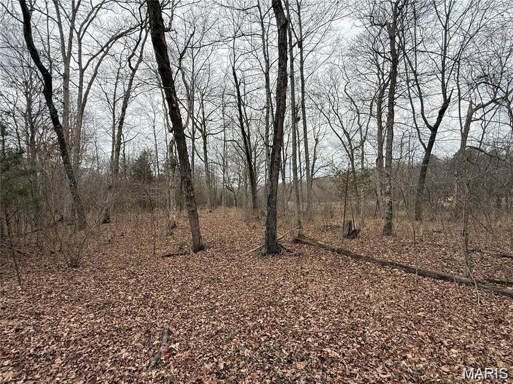 2 Madison 248 Fredericktown, MO 63645 - Photo 13 of 27