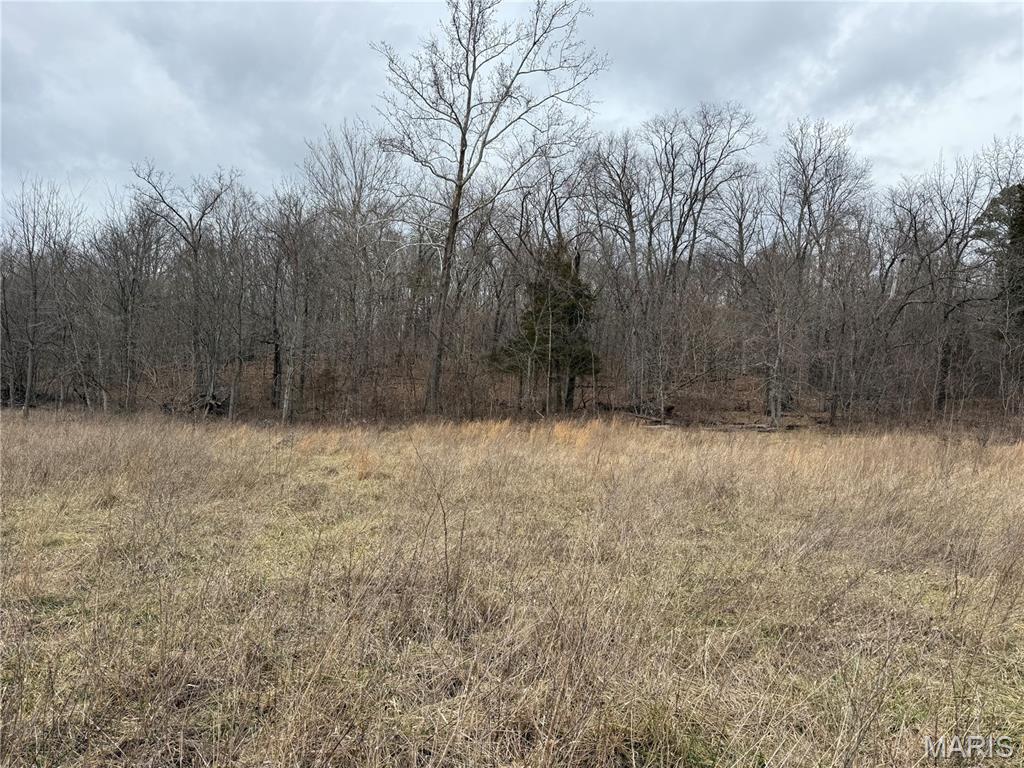 2 Madison 248 Fredericktown, MO 63645 - Photo 14 of 27