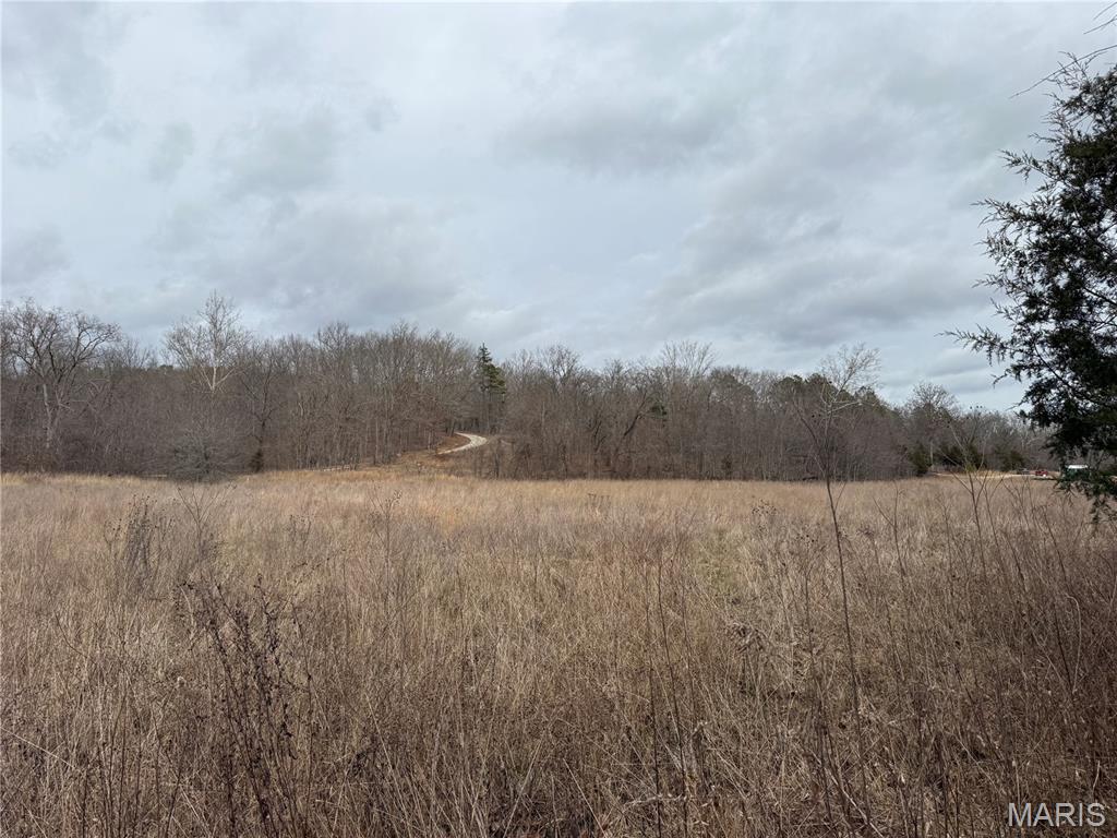 2 Madison 248 Fredericktown, MO 63645 - Photo 7 of 27