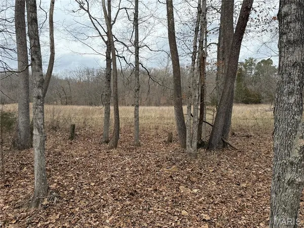 $109,900 | 2 Madison 248, Fredericktown, MO 63645