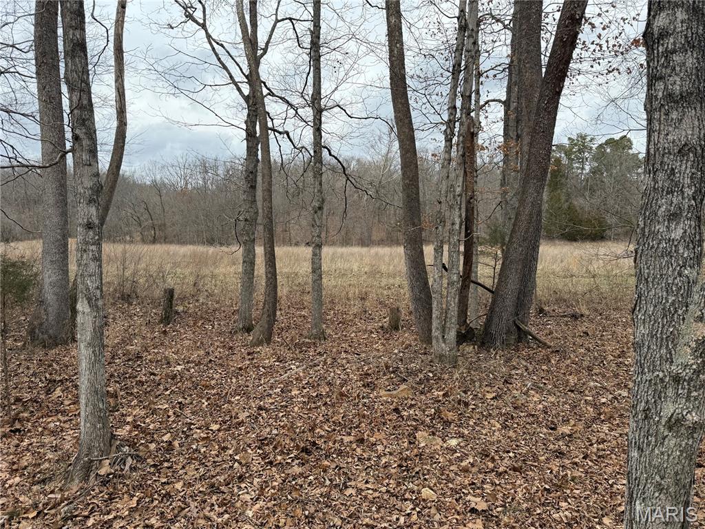 2 Madison 248 Fredericktown, MO 63645 - Photo 8 of 27