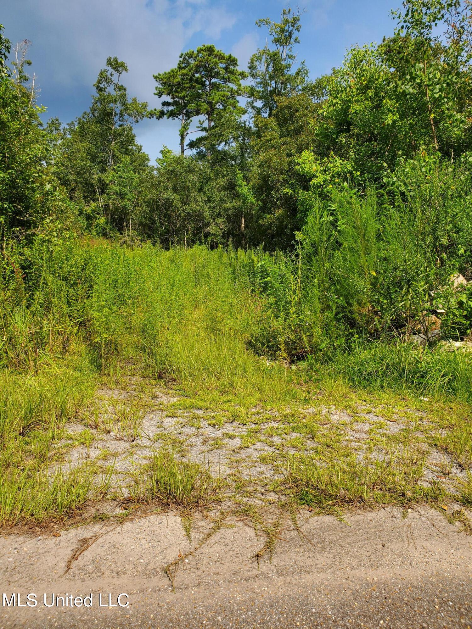 Maple Drive Pearlington, MS 39572 - Photo 2 of 3 20220816_152951