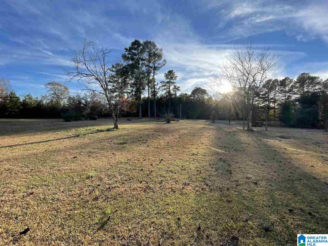 400 North Horton Road Wilsonville, AL 35186 - Photo 5 of 30