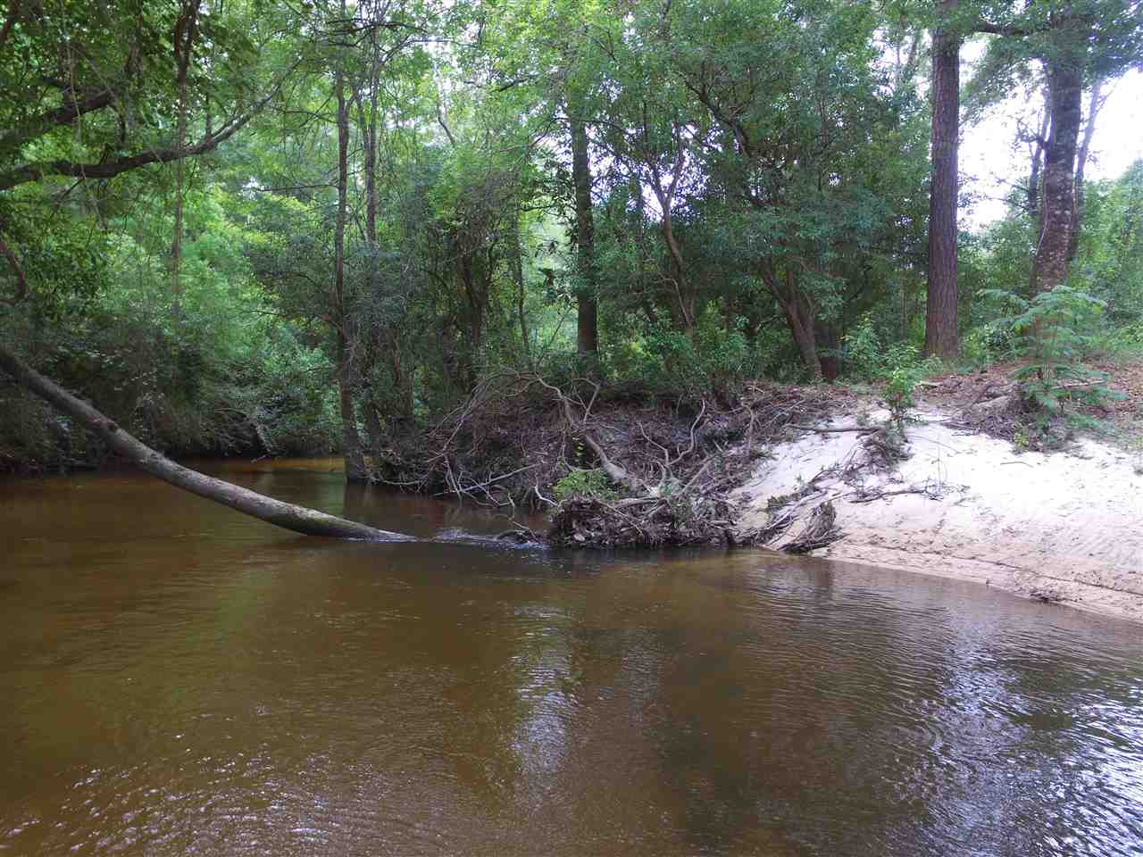 13240 County Road 54 Daphne, AL 36526 - Photo 3 of 18