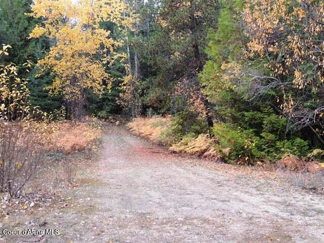 Nka Nka Governors Way Athol, ID 83801 - Photo 15 of 15 DSCN0098