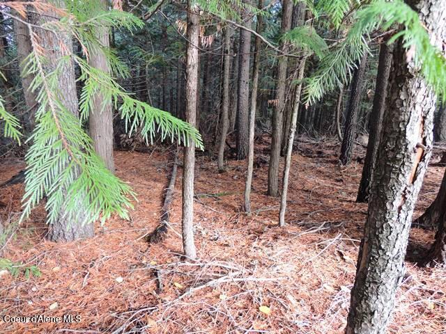 Nka Nka Governors Way Athol, ID 83801 - Photo 3 of 15 DSCN0072