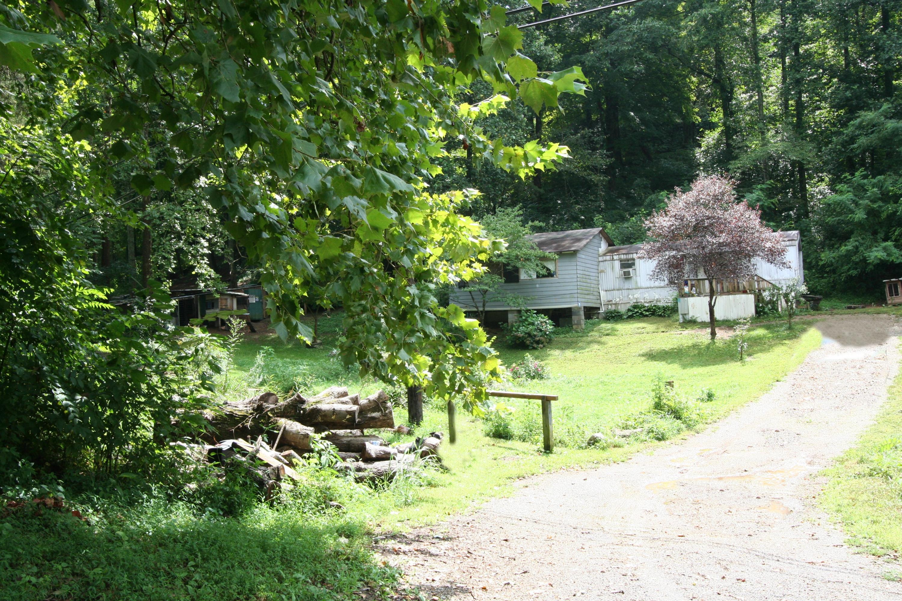 205 Wolfe Road Luttrell, TN 37779 - Photo 11 of 40 Real Estate...205 Wolfe Rd (19)