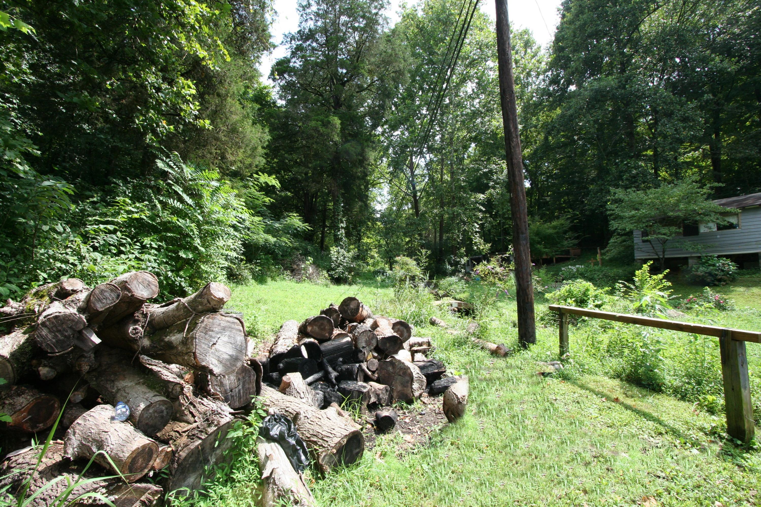 205 Wolfe Road Luttrell, TN 37779 - Photo 12 of 40 Real Estate...205 Wolfe Rd (20)