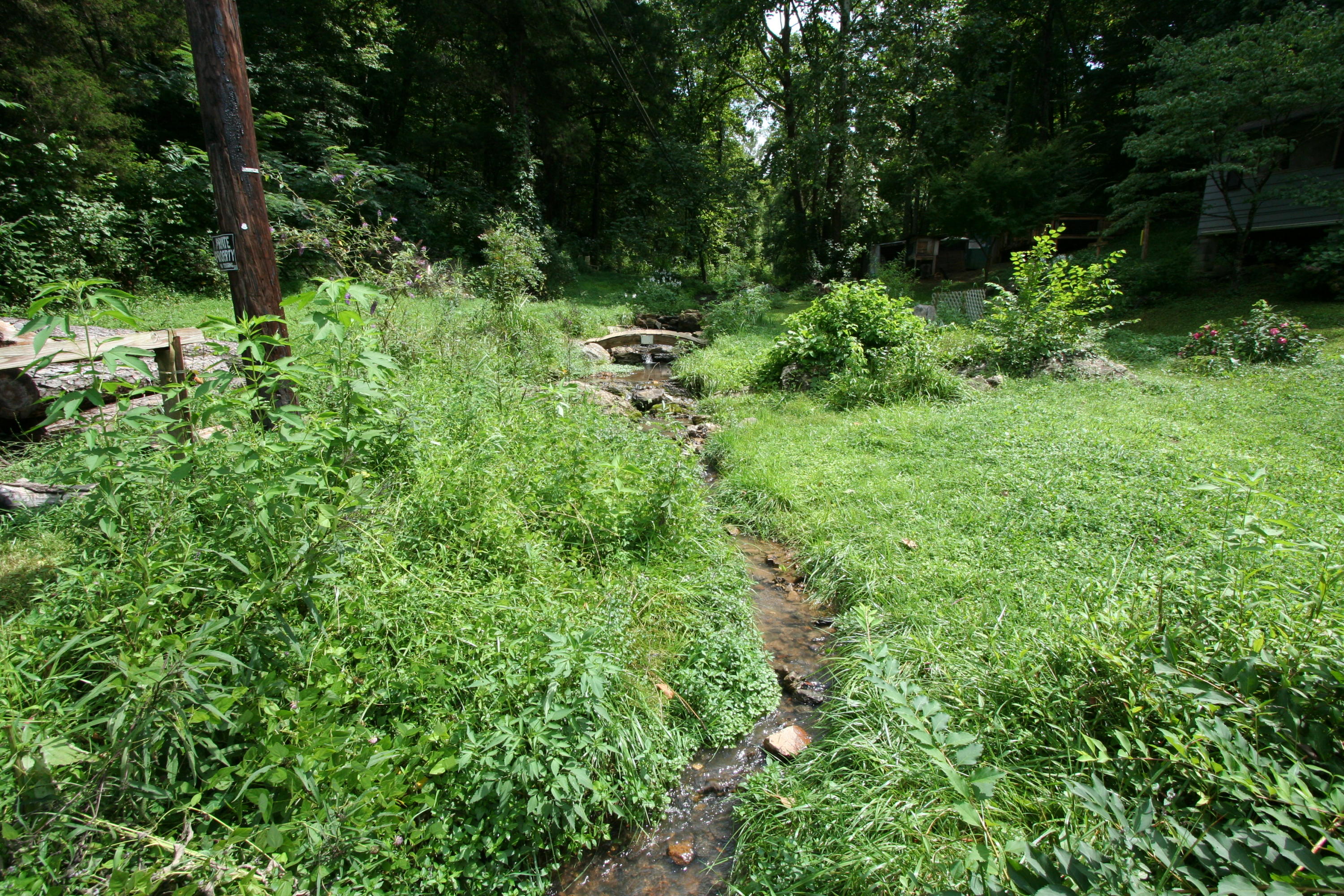 205 Wolfe Road Luttrell, TN 37779 - Photo 15 of 40 Real Estate...205 Wolfe Rd (23)