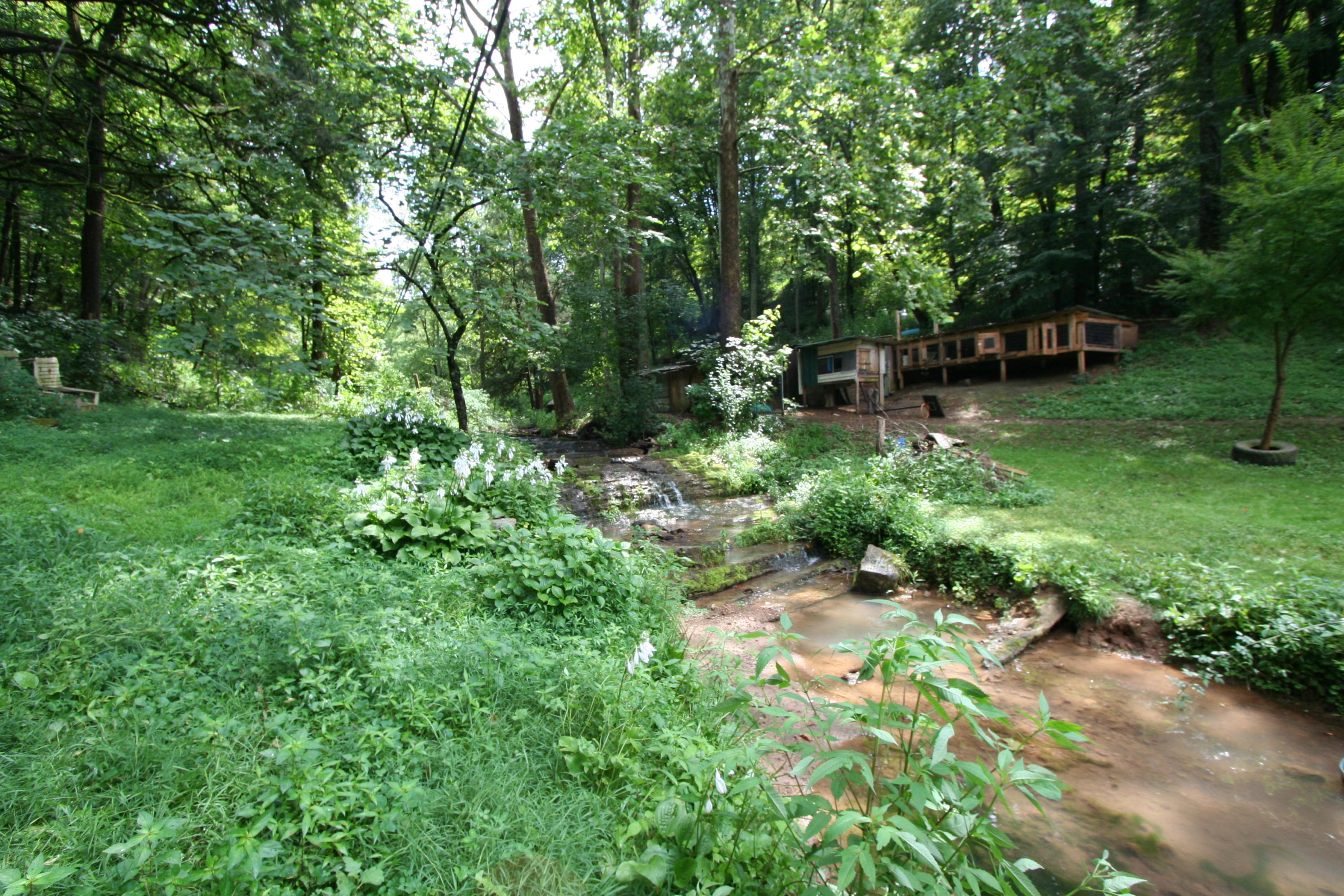 205 Wolfe Road Luttrell, TN 37779 - Photo 26 of 40 Real Estate...205 Wolfe Rd (34)