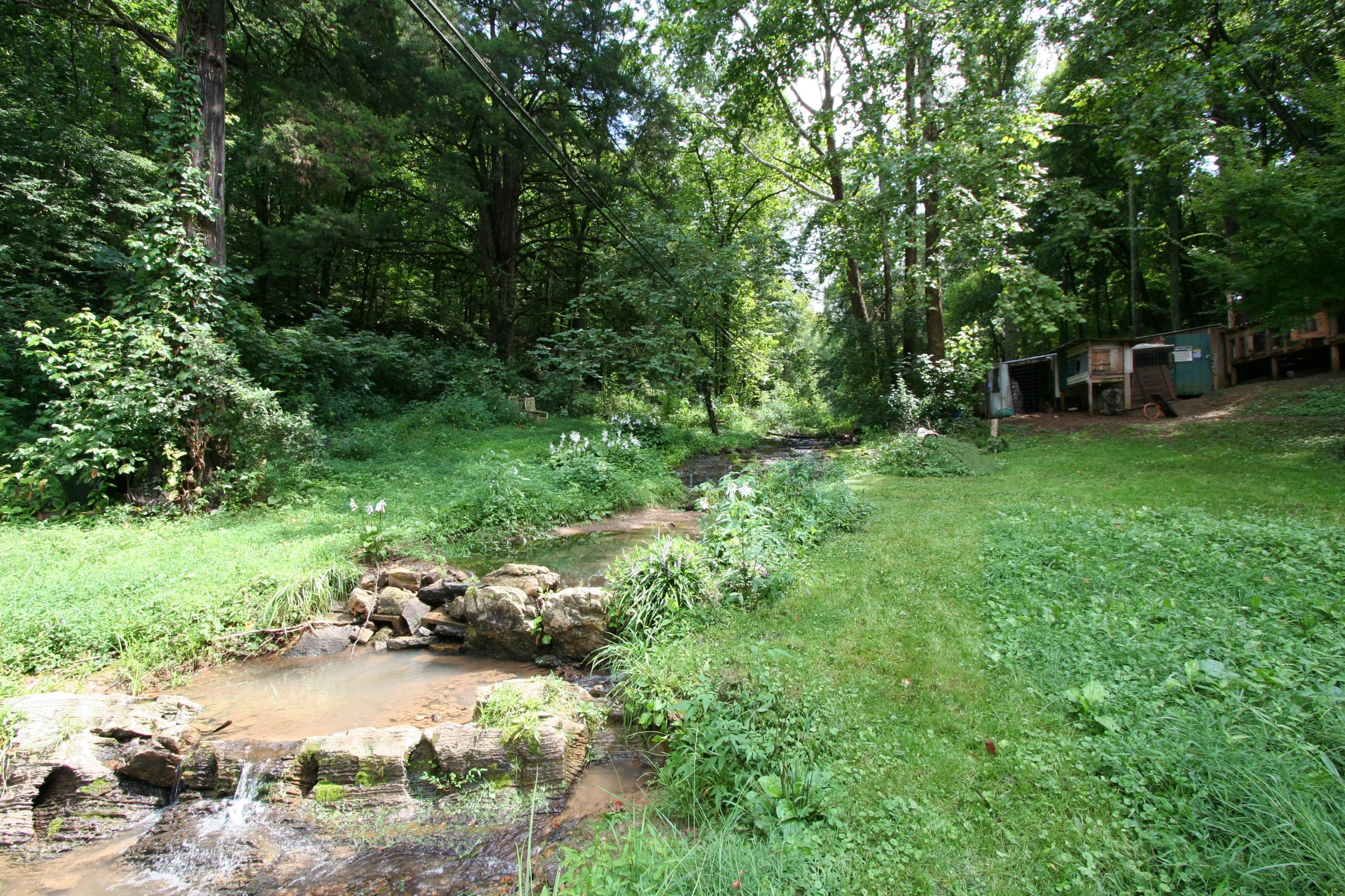 205 Wolfe Road Luttrell, TN 37779 - Photo 29 of 40 Real Estate...205 Wolfe Rd (37)