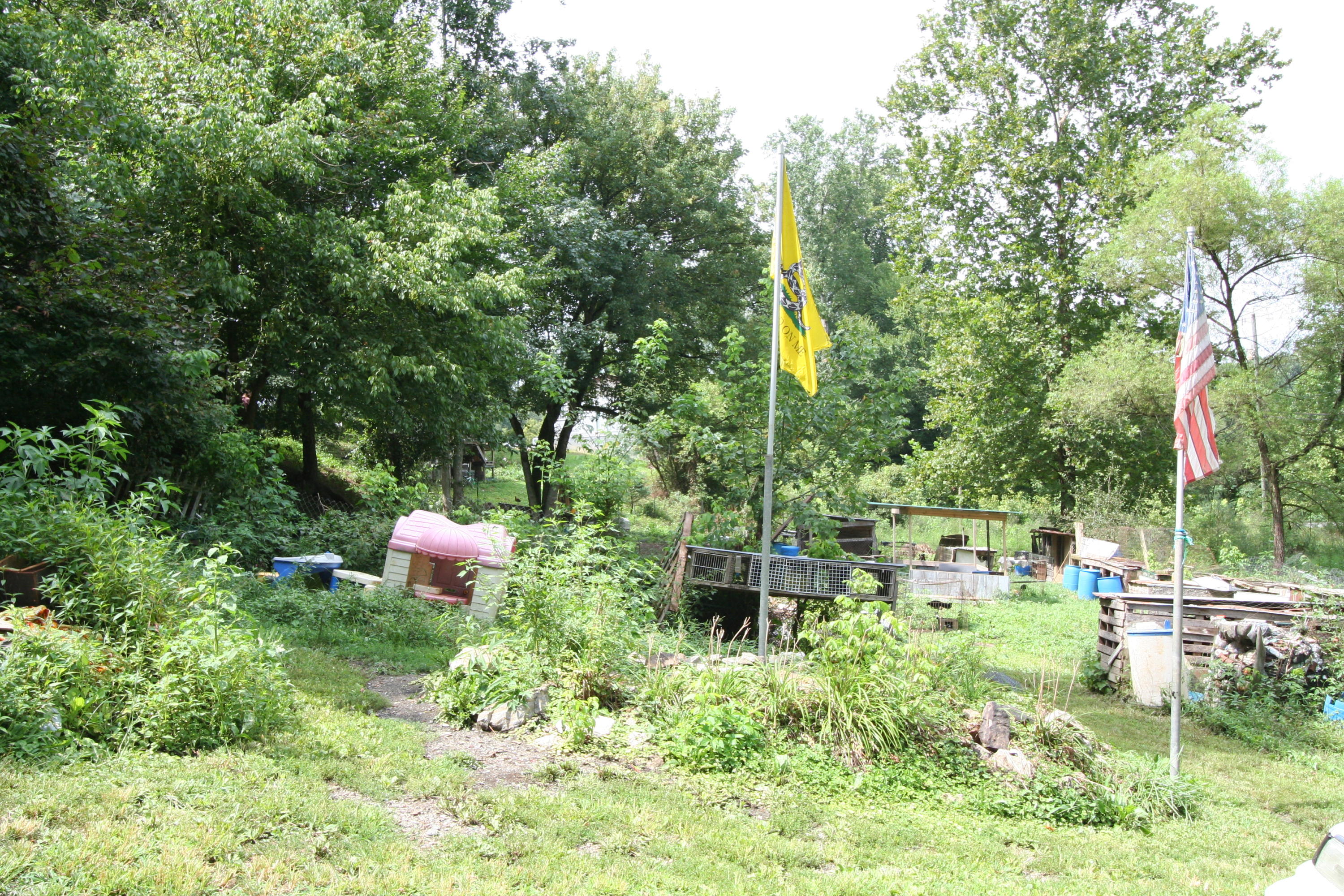 205 Wolfe Road Luttrell, TN 37779 - Photo 30 of 40 Real Estate...205 Wolfe Rd (38)